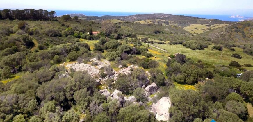 Terreno agricolo in vendita con progetto per Stazzo Gallurese Aglientu ref Lapponi