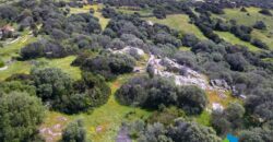 Agricultural land for sale with project for Stazzo Gallurese -Aglientu