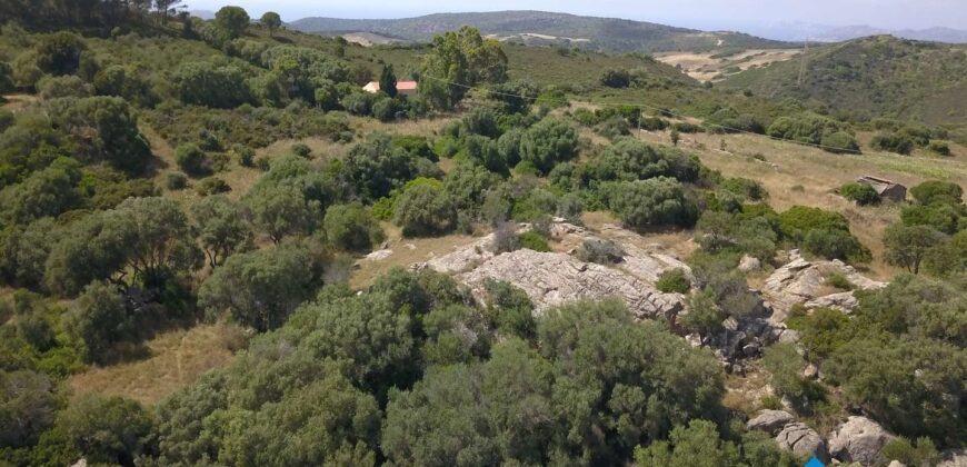Agricultural land for sale with project for Stazzo Gallurese -Aglientu