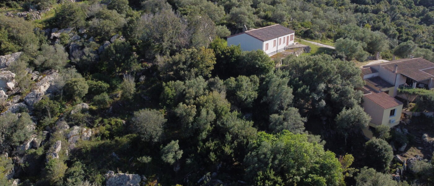 Casa Di Campagna In Vendita Arzachena -Sardegna Ref Picuccia