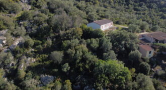 Landhaus zu verkaufen Arzachena - Sardinien ref Picuccia
