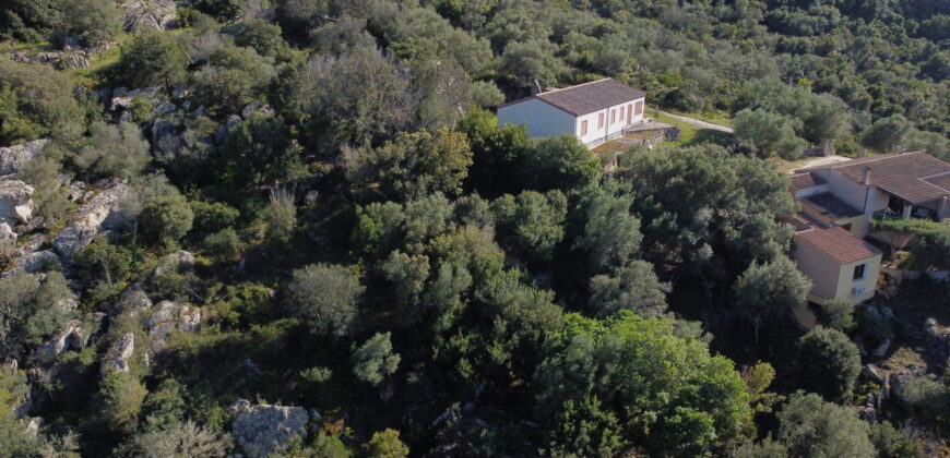 Landhaus zu verkaufen Arzachena -Sardinien ref Picuccia