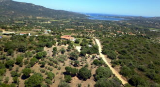 Villa for sale at San Pantaleo Olbia Ref Patron of Corru
