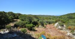 Rustici in vendita in Gallura Ref Mannucciu