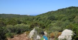 Rustici in vendita in Gallura Ref Mannucciu