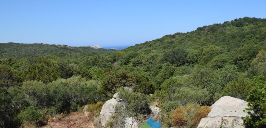 Rustici in vendita in Gallura Ref Mannucciu