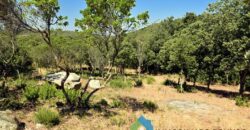 Rustici in vendita in Gallura Ref Mannucciu
