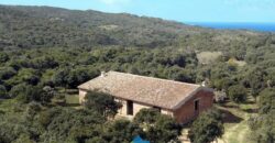 Rustici in vendita in Gallura Ref Mannucciu