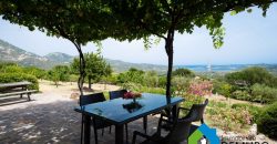 Sea View Villa For Sale In San Pantaleo Ref. Ulivi Lux