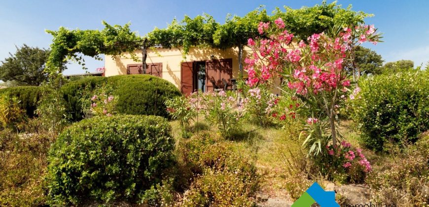 Sea View Villa For Sale In San Pantaleo Ref. Ulivi Lux