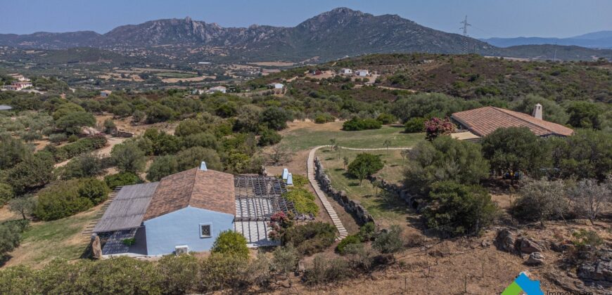 Villa in vendita a San Pantaleo Olbia Ref Patron di Corru