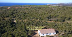 Rustici in vendita in Gallura Ref Mannucciu