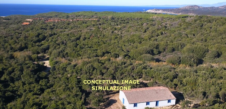 Rustici in vendita in Gallura Ref Mannucciu
