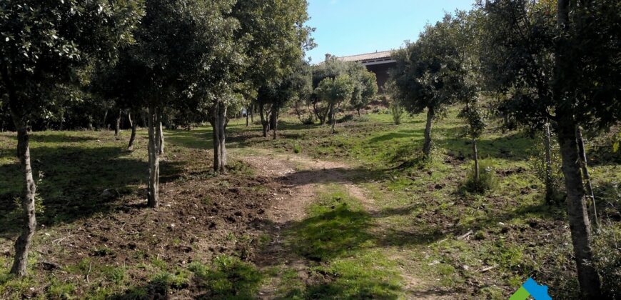 Rustici Sardegna Vista Mare ref. Mannucciu
