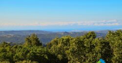 Rustico for renovation Sardinia
