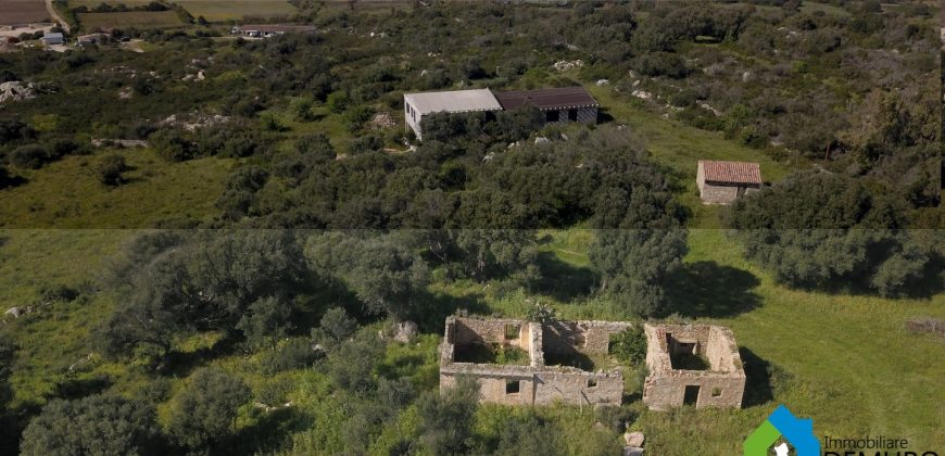 Casa in vendita a San Pantaleo Sardegna Ref Sarraiola