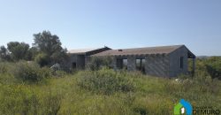 Casa in vendita a San Pantaleo Sardegna Ref Sarraiola