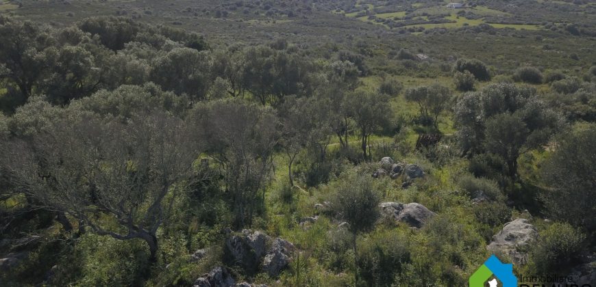 Casa in vendita a San Pantaleo Sardegna Ref Sarraiola