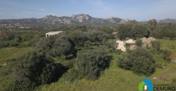 Casa in vendita a San Pantaleo Sardegna Ref Sarraiola