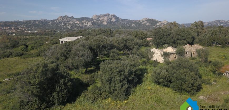 Casa in vendita a San Pantaleo Sardegna Ref Sarraiola