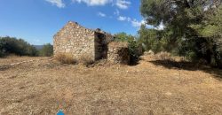 Casa in vendita a San Pantaleo Sardegna Ref Sarraiola