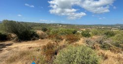 Casa in vendita a San Pantaleo Sardegna Ref Sarraiola
