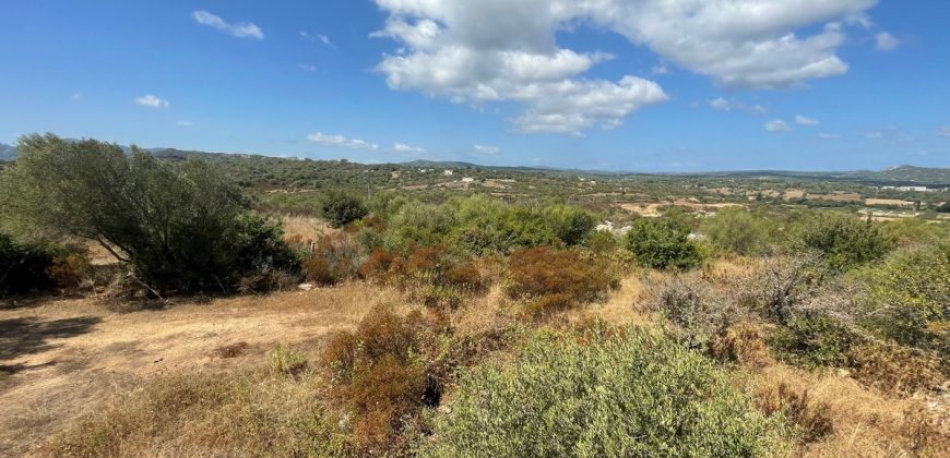 Casa in vendita a San Pantaleo Sardegna Ref Sarraiola
