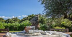 Stazzo in vendita San Pantaleo rif.Murichessa