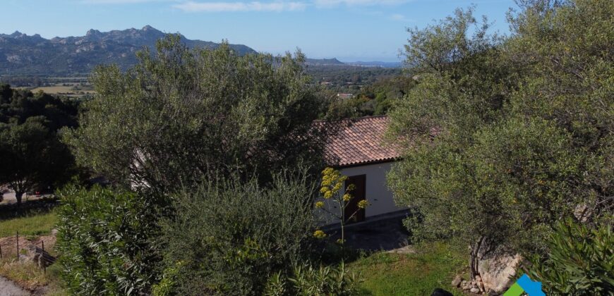Casa in vendita a San Pantaleo Sardegna ref Picuccia