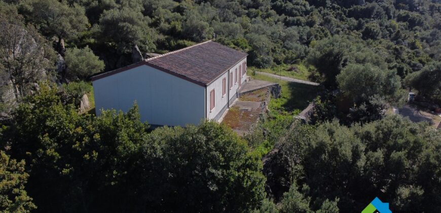 Casa in vendita a San Pantaleo Sardegna ref Picuccia