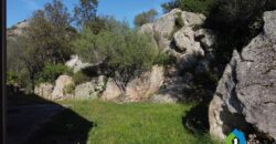 Casa in vendita a San Pantaleo Sardegna ref Picuccia