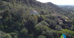 Haus zu verkaufen in San Pantaleo Sardinien ref Picuccia