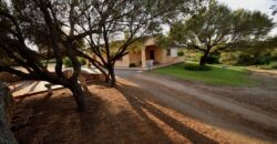Häuser zu verkaufen Landschaft Arzachena