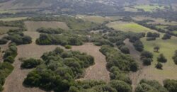 Farm for sale Sardinia