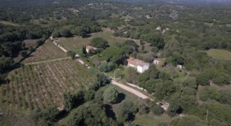 Bauernhof zu verkaufen Sardinien 2 Agenzia Immobiliare Demuro