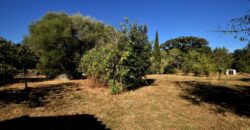 Fattoria in vendita in Sardegna