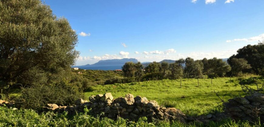 Land and rustic buildings for sale in Olbia ref Muriscu