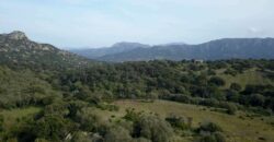 Terreno agricolo in vendita a Olbia