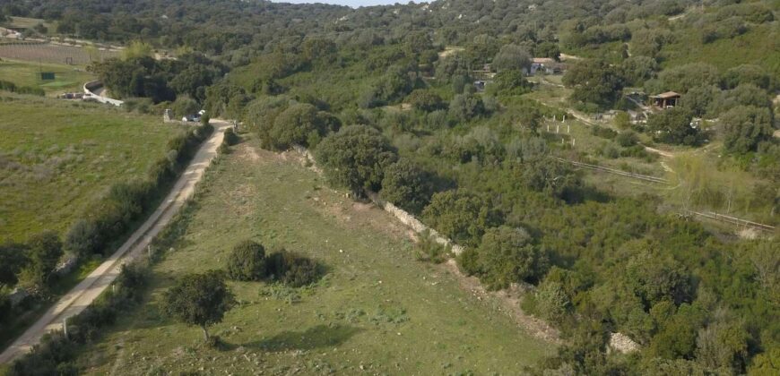 Agricultural land for sale in Olbia