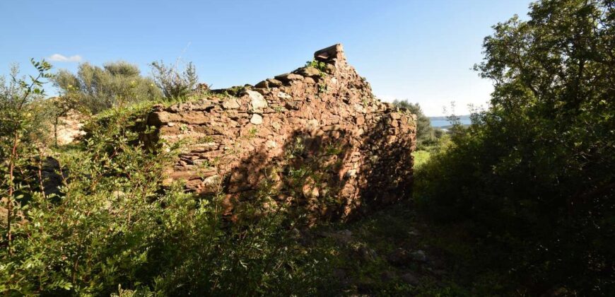 Land and rustic buildings for sale in Olbia ref Muriscu