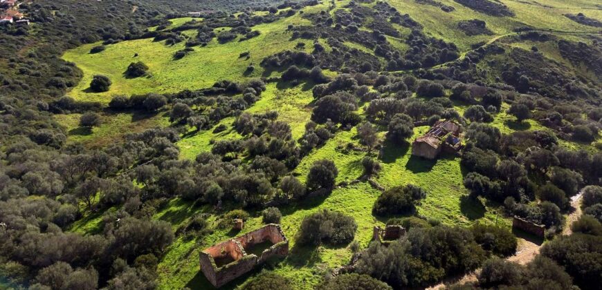Terreni e rustici in vendita a Olbia rif Muriscu