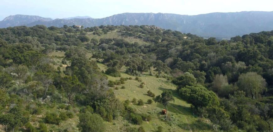Agricultural land for sale in Olbia