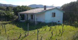 Country Houses for Sale Olbia Ref. Chirialza