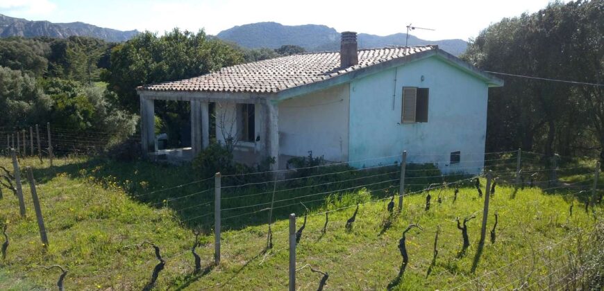 Landhäuser zu verkaufen Olbia Ref. Chirialza