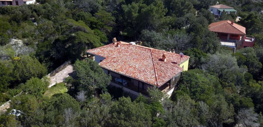 Villa for sale Cala Girgolu Ref.Lin