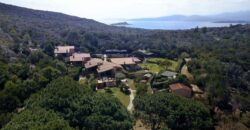 Villas zu verkaufen Le Farfalle San Teodoro rif. GolSer