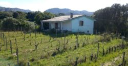 Landhäuser zu verkaufen Olbia Ref. Chirialza