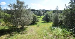 Country houses for sale Olbia Ref. Chirialza