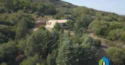 Aglientu houses and land for sale near the sea ref. Barranconi