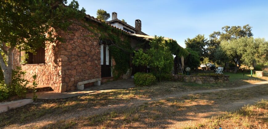 Farm for sale Olbia with vineyard ref.Casagliana